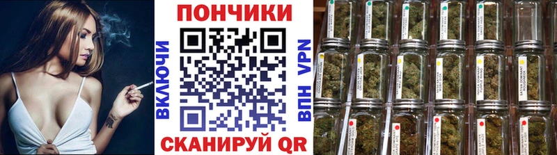 Бошки Шишки планчик  где продают наркотики  Южа 